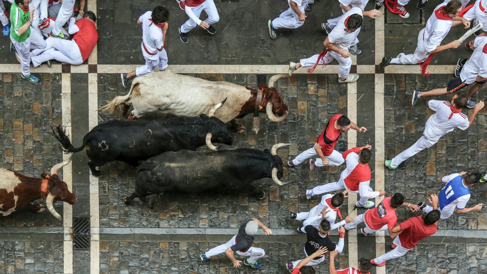 Running of the Bulls: The Complete San Fermín Festival Guide for First-Timers
