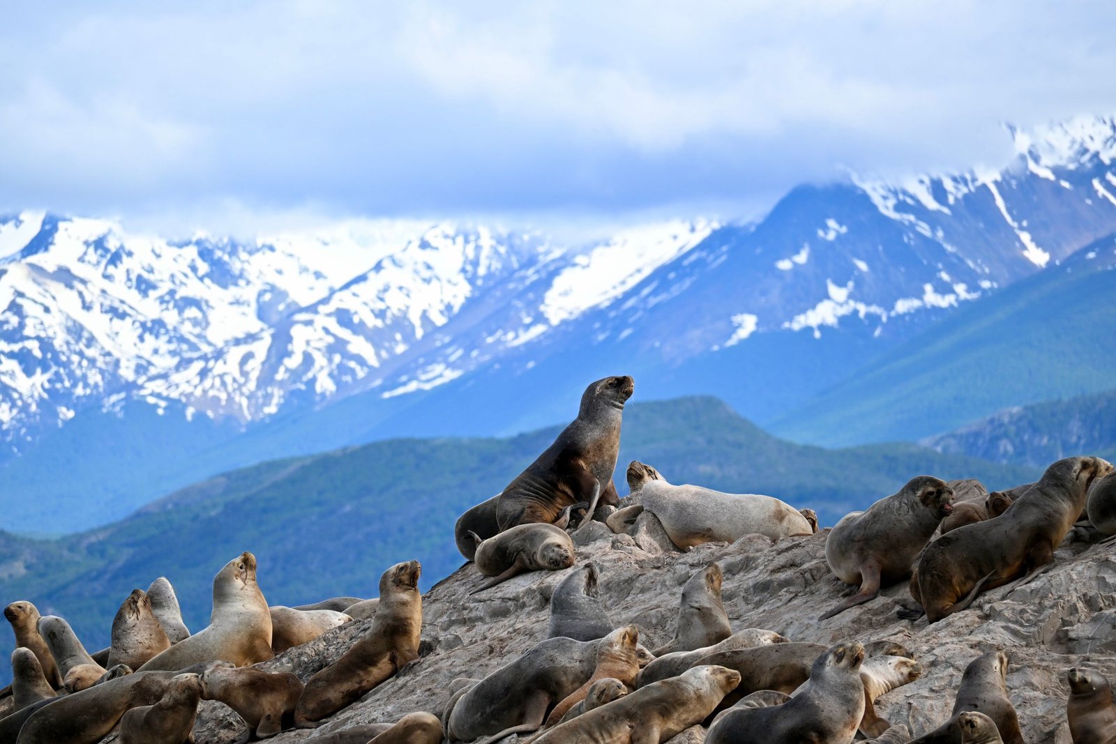 Travel Guide for Ushuaia, Argentina: Best Things to Do